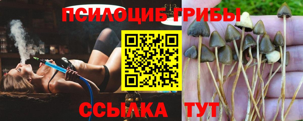 купить наркотик  Галлюциногенные грибы ЛСД  Вход с VPN  Кемерово 